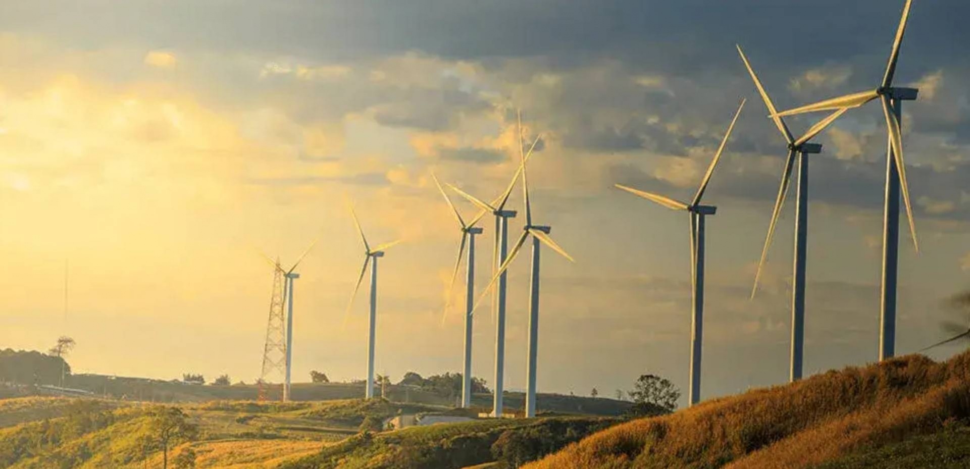 开云·kaiyun - 智控核心，能量尽在掌握